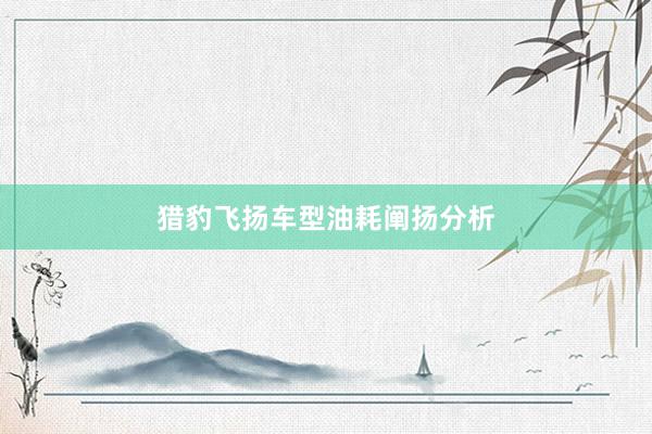 猎豹飞扬车型油耗阐扬分析